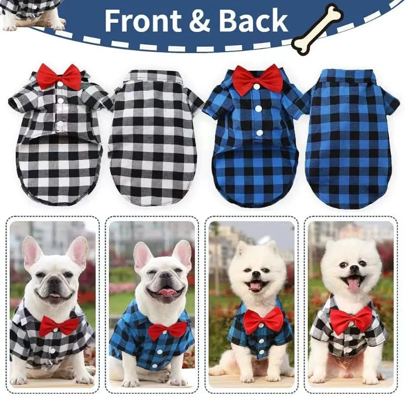 Pet Wedding Dress Suit - XS-4XL, Party Ready