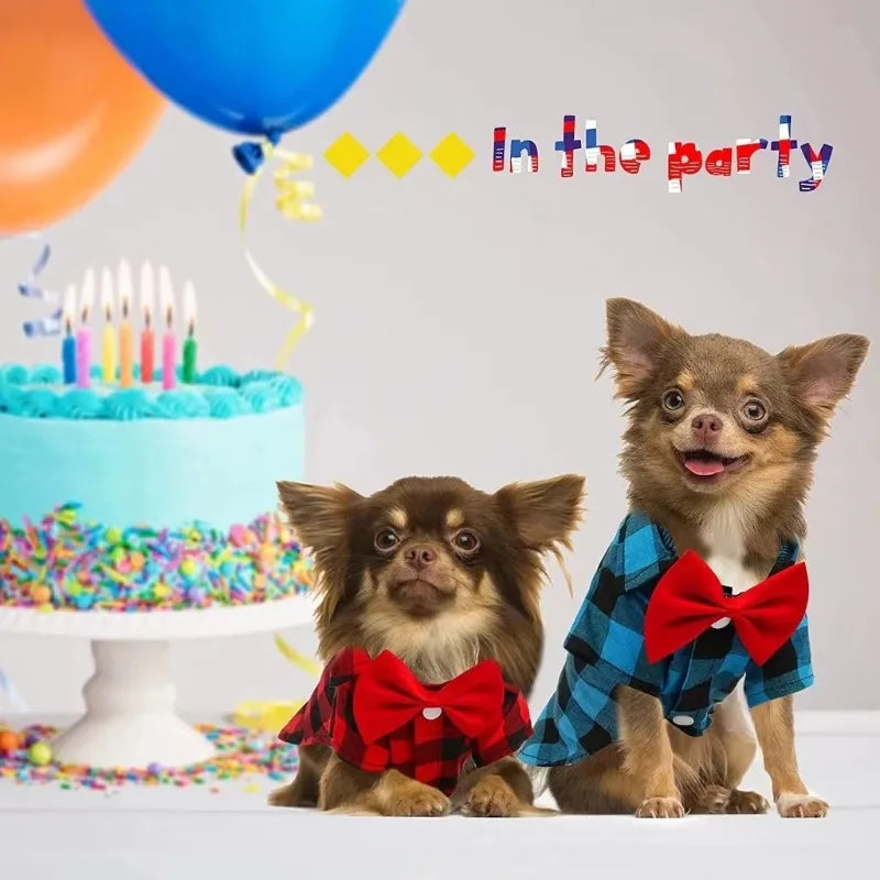 Pet Wedding Dress Suit - XS-4XL, Party Ready