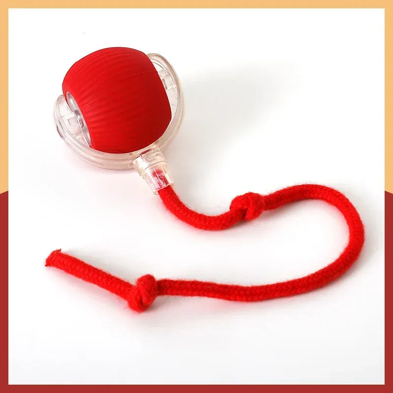 Interactive Cat Ball: Auto Electric Teaser, USB Rechargeable