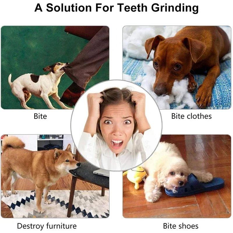 Dog Ball Toys - Interactive Chew & Clean Rubber for Small Dogs