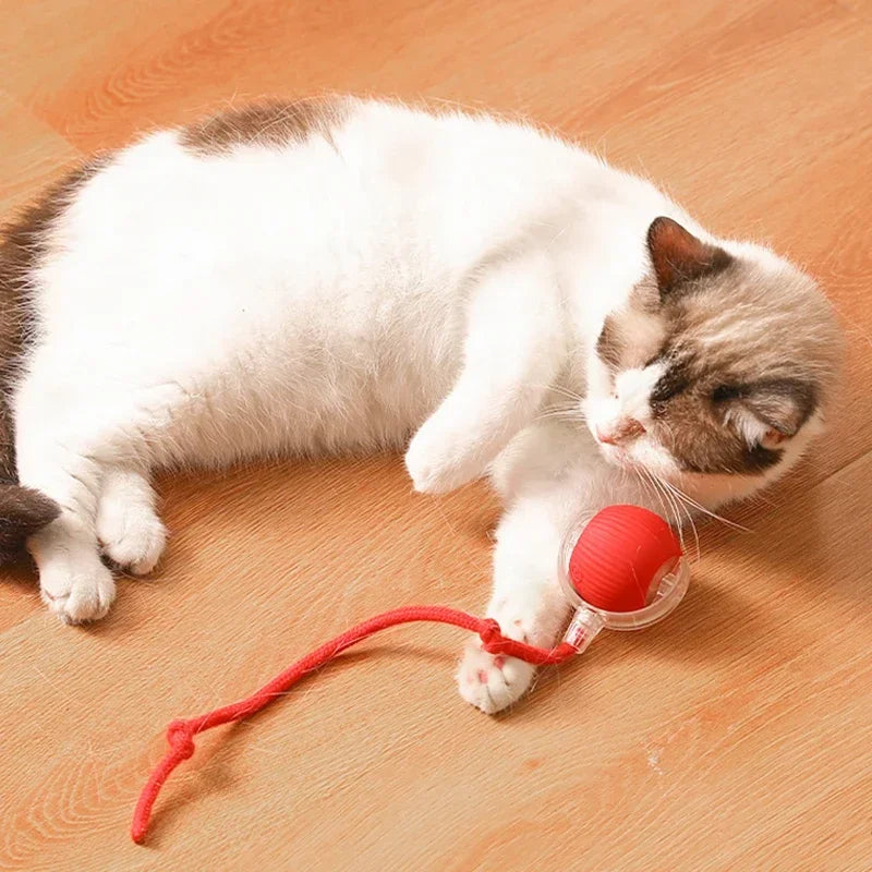 Interactive Cat Ball: Auto Electric Teaser, USB Rechargeable