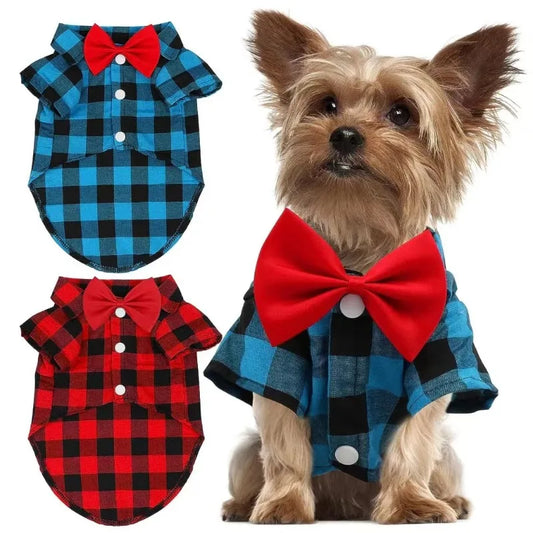 Pet Wedding Dress Suit - XS-4XL, Party Ready