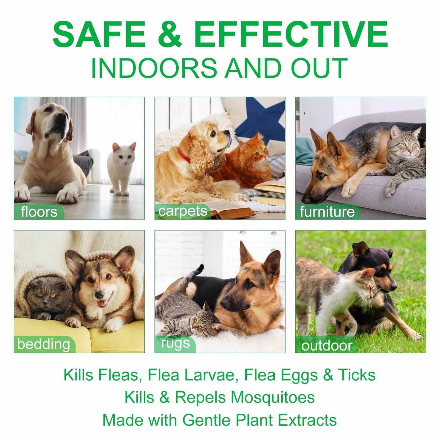 Natural Flea & Tick Spray 100ml for Dogs & Cats - Peppermint