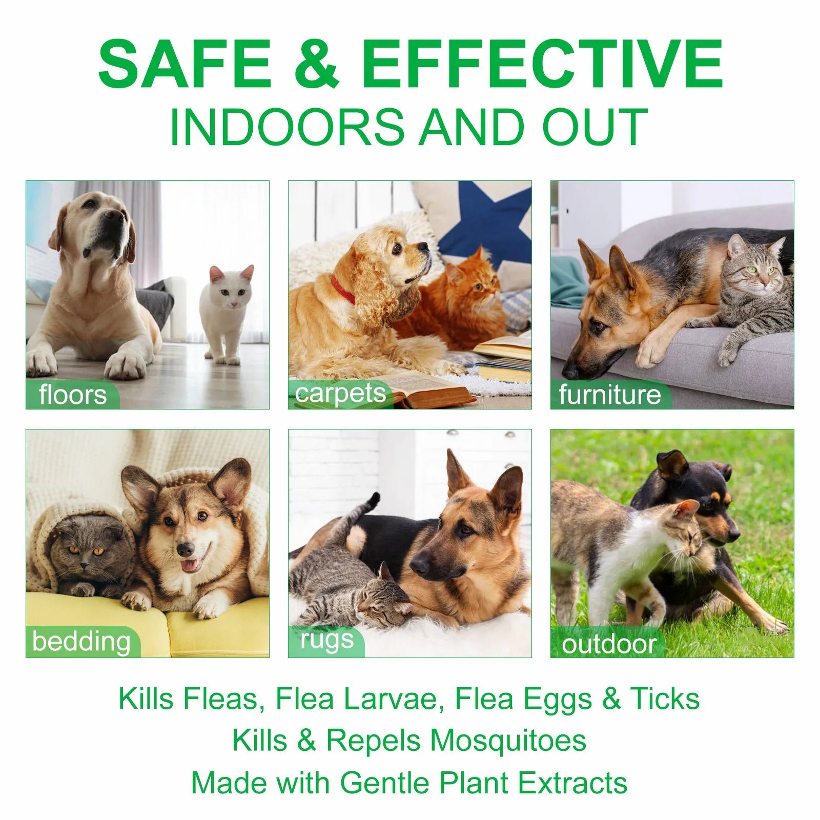 Natural Flea & Tick Spray 100ml for Dogs & Cats - Peppermint