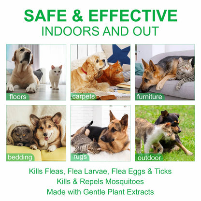 Natural Flea & Tick Spray 100ml for Dogs & Cats - Peppermint