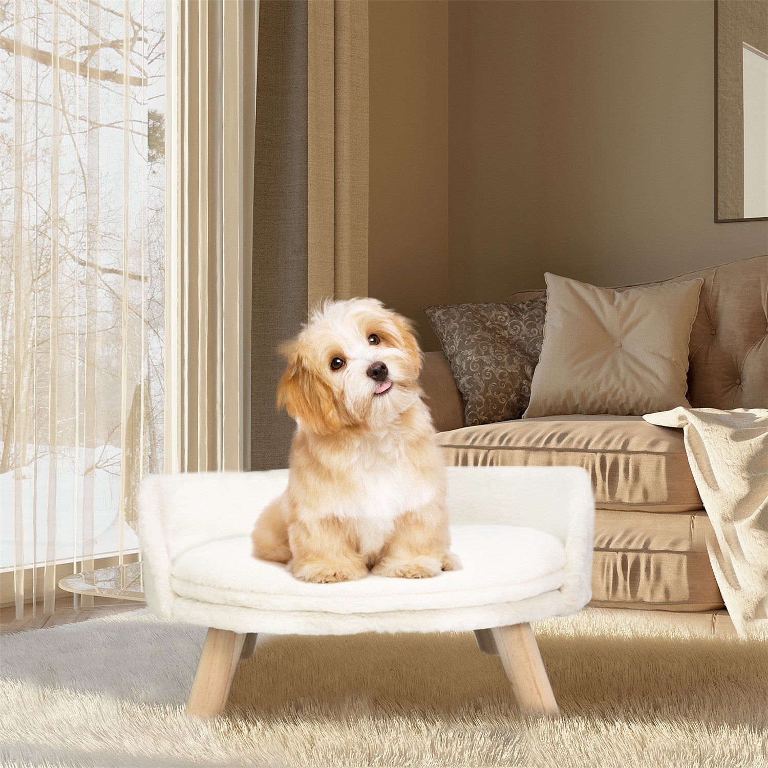Pet Sofa Bed: Raised Cat Chair & Small Dog Couch