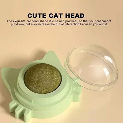 Catnip Balls for Cats - Lickable Snack & Teeth Cleaning Toy