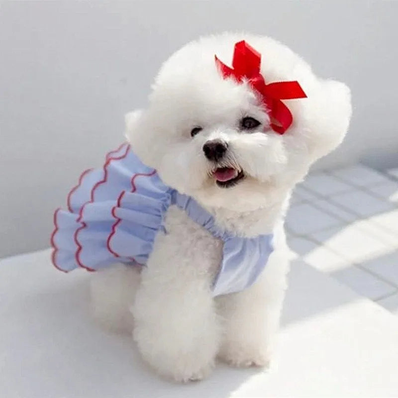 Dog Summer Dress: Cute Striped Skirt for Small Pets
