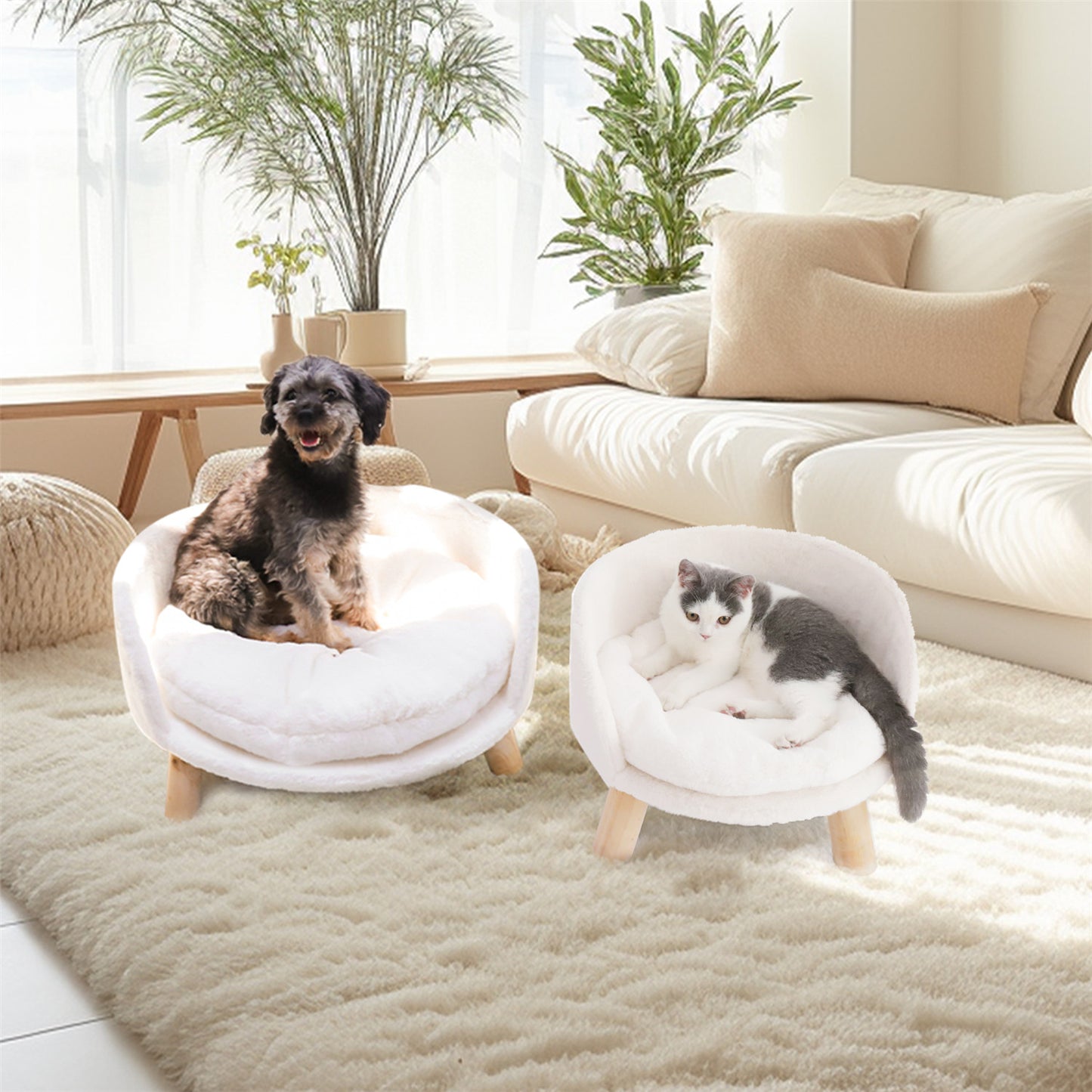 Pet Sofa Bed: Raised Cat Chair & Small Dog Couch
