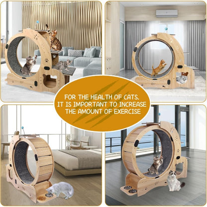 Cat Exercise Wheel - Birch & Poplar, Ultra-Quiet, Anti-Scratch