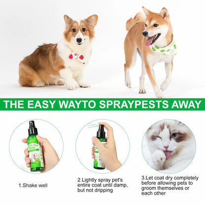 Natural Plant-Based Flea & Tick Spray 100ml for Dogs & Cats - Peppermint Oil