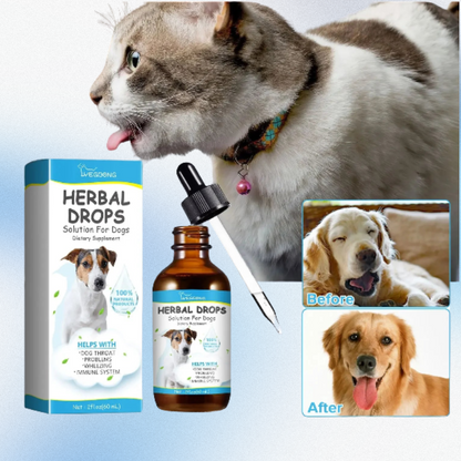 Pet Cough Relief Drops – Throat Soothing Formula for Dogs and Cats (60ml)
