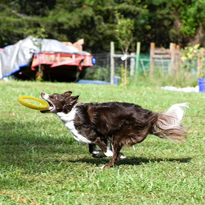 Durable Floating Flying Disc Toy for Large Dogs – Bite-Resistant Rubber Ring, 28cm