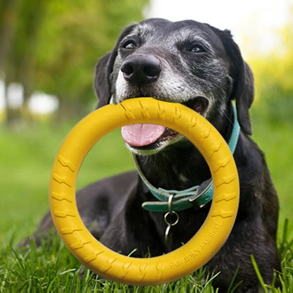 Durable Floating Flying Disc Toy for Large Dogs – Bite-Resistant Rubber Ring, 28cm
